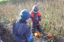 Sortie aux citrouilles - Ferme Benovan à L'isle-Verte